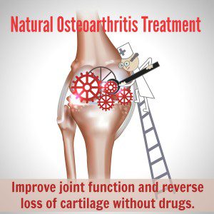 natural osteoarthritis treatment