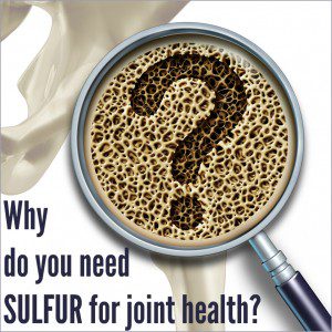 sulfur for joint health v2