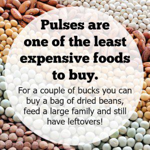 Pulses are inexpensive