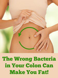 the wrong bacteria in your colon can make you fat