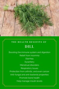 health benefits of dill