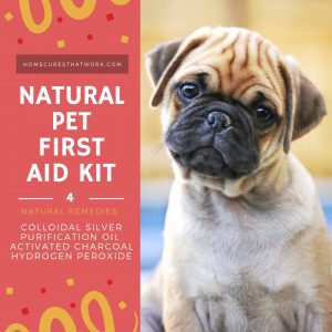 Pet Natural First Aid Kit