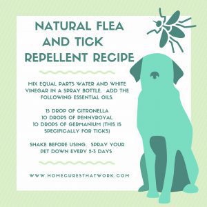 natural flea and tick repellant recipe v2