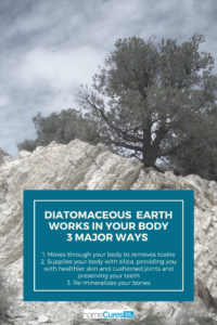 Diatomaceous earth works in your body 3 major ways