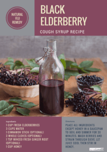 black elderberry cough syrup
