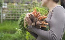 640 bigstock closeup of woman carrying vari 48659186