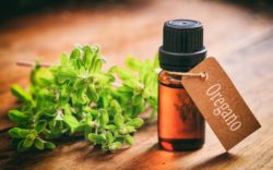 640 bigstock fresh oregano twig on wooden b 158500703