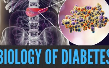 Episodes #1-3 - The Biology of Diabetes - Fix Blood Sugar Webinar with Dr. Scott Saunders M.D. 9 maxresdefault 1