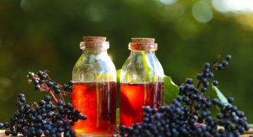 Bigstock elderberry syrup in a glass bo 451418855