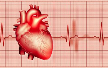 Bigstock cardiology healthy heart conc 456712839