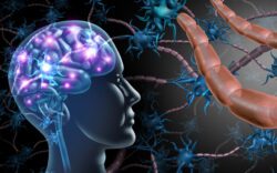 7 Simple Signals to Reset Your Nervous System (Without Doing More)