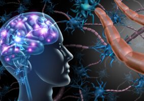 7 simple signals to reset your nervous system (without doing more)