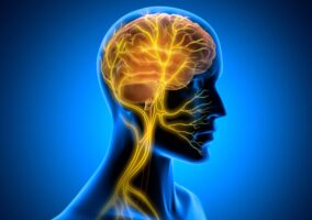 8 Easy Techniques to Calm Your Body Through the Vagus Nerve