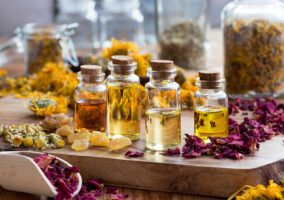 6 Medicinal Plants Every Homesteader Should Grow This Spring for a Complete Herbal First Aid Kit