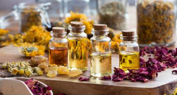 6 Medicinal Plants Every Homesteader Should Grow This Spring for a Complete Herbal First Aid Kit