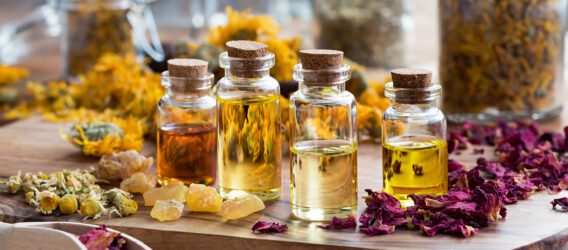 6 Medicinal Plants Every Homesteader Should Grow This Spring for a Complete Herbal First Aid Kit