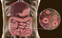 5 Common Foods That Can Harbor Parasites (And How to Protect Your Family)